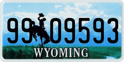 WY license plate 9909593