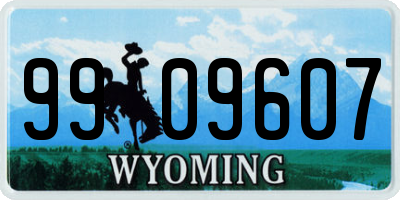 WY license plate 9909607