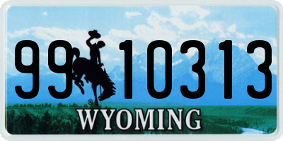 WY license plate 9910313