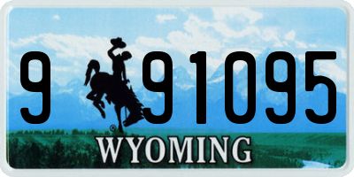 WY license plate 991095
