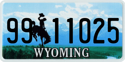 WY license plate 9911025