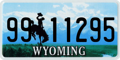 WY license plate 9911295