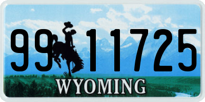 WY license plate 9911725