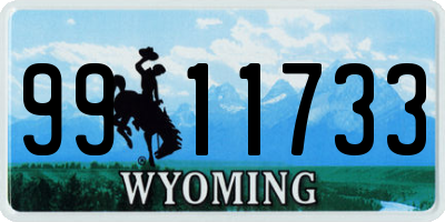 WY license plate 9911733
