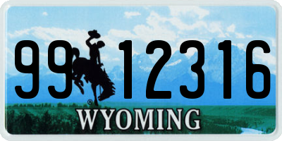 WY license plate 9912316