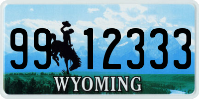WY license plate 9912333