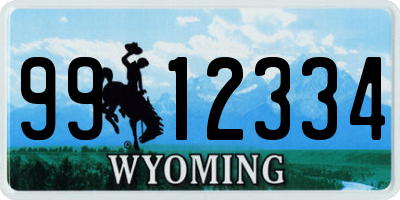 WY license plate 9912334
