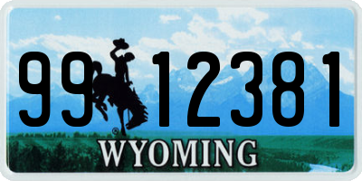 WY license plate 9912381