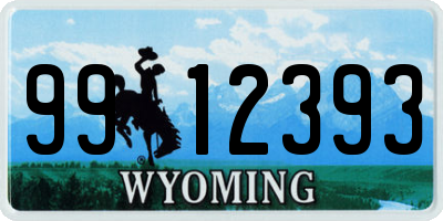 WY license plate 9912393