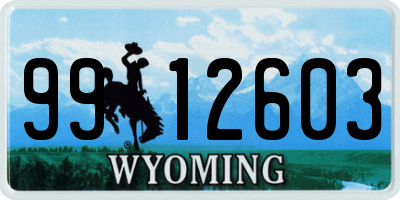 WY license plate 9912603