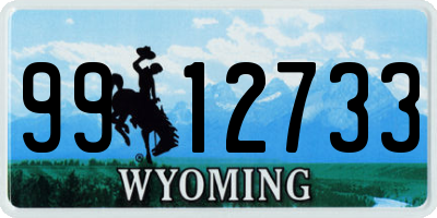 WY license plate 9912733