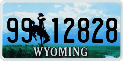 WY license plate 9912828
