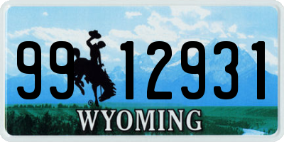 WY license plate 9912931