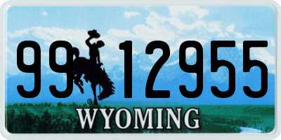 WY license plate 9912955