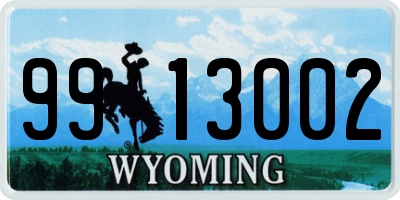 WY license plate 9913002