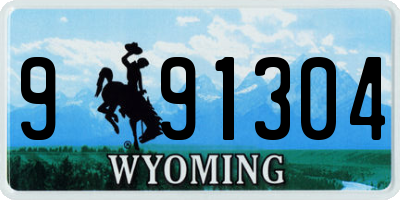 WY license plate 991304