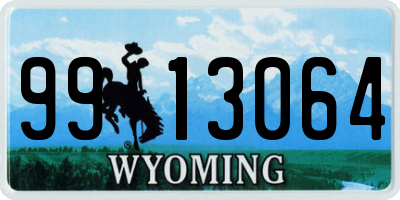 WY license plate 9913064