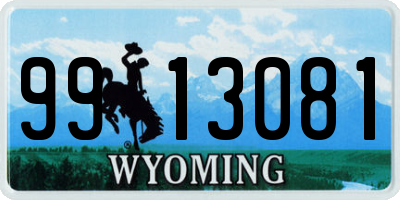 WY license plate 9913081