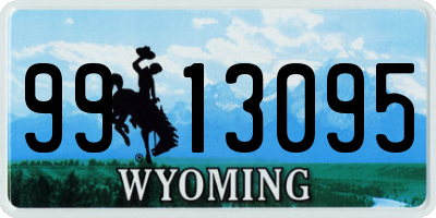 WY license plate 9913095