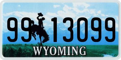 WY license plate 9913099