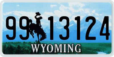 WY license plate 9913124