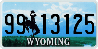 WY license plate 9913125