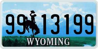 WY license plate 9913199