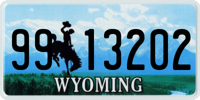 WY license plate 9913202