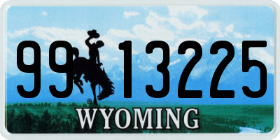 WY license plate 9913225