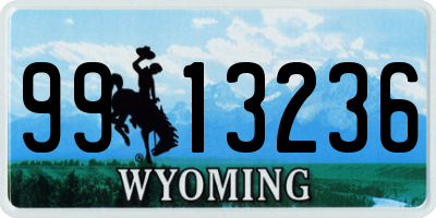 WY license plate 9913236