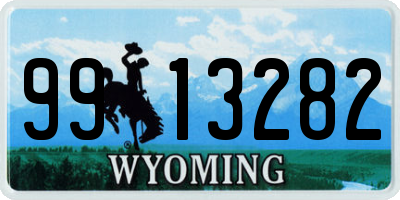 WY license plate 9913282