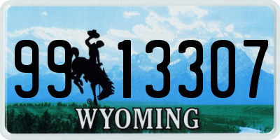 WY license plate 9913307