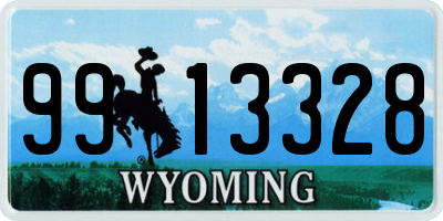 WY license plate 9913328