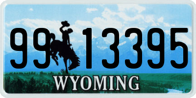 WY license plate 9913395