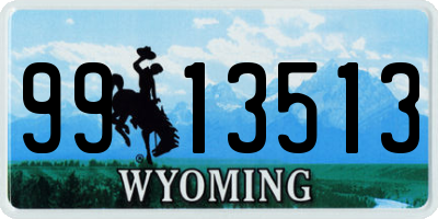 WY license plate 9913513