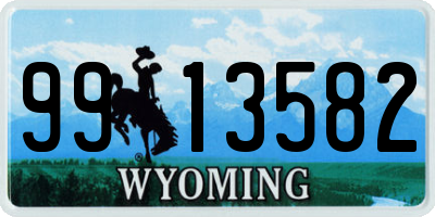 WY license plate 9913582