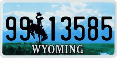 WY license plate 9913585