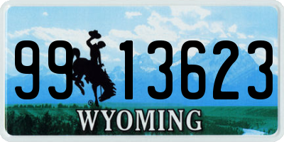 WY license plate 9913623
