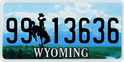 WY license plate 9913636