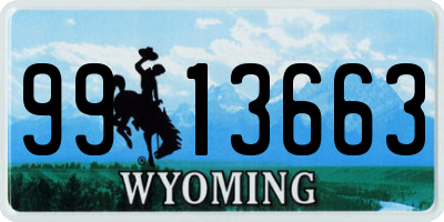 WY license plate 9913663