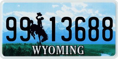 WY license plate 9913688