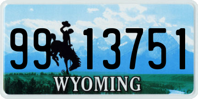 WY license plate 9913751