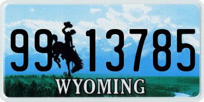 WY license plate 9913785