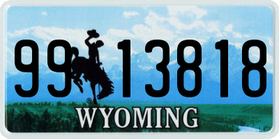 WY license plate 9913818