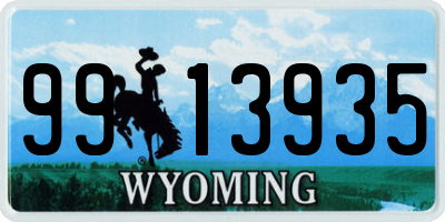 WY license plate 9913935