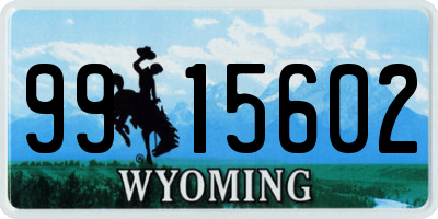 WY license plate 9915602