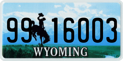 WY license plate 9916003