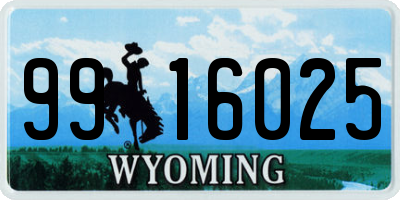 WY license plate 9916025