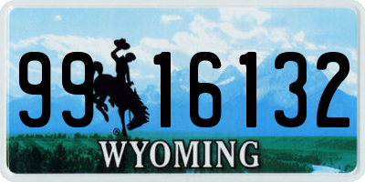 WY license plate 9916132