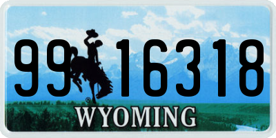 WY license plate 9916318
